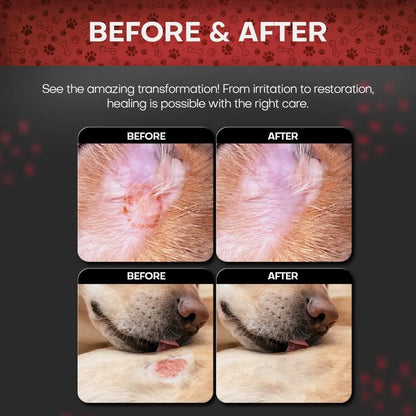 Chlorhexidine Medicated Pet Wipes XL for Dogs & Cats Antibacterial 50ct