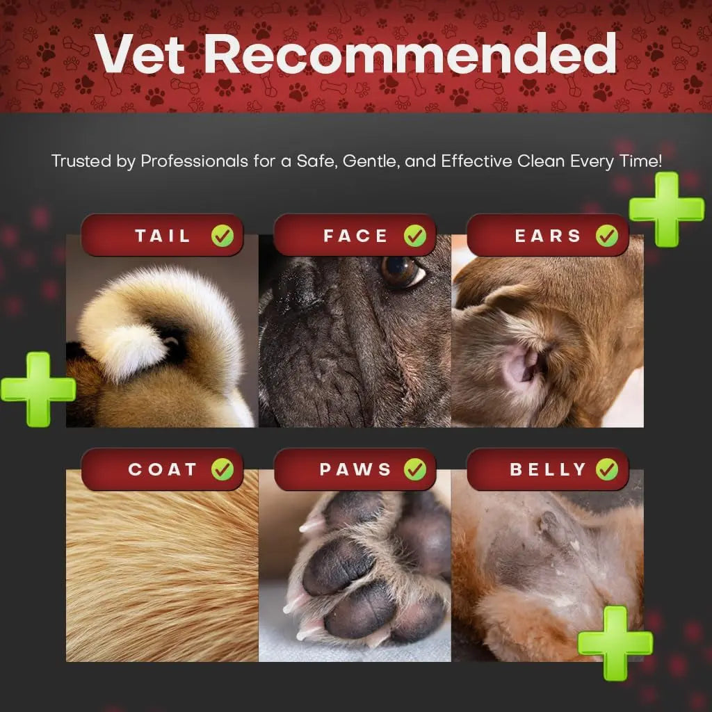 Chlorhexidine Medicated Pet Wipes XL for Dogs & Cats Antibacterial 50ct