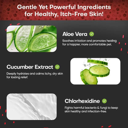 Chlorhexidine Medicated Pet Wipes XL for Dogs & Cats Antibacterial 50ct