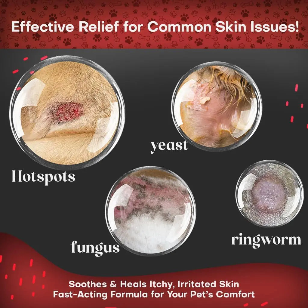 Chlorhexidine Medicated Pet Wipes XL for Dogs & Cats Antibacterial 50ct