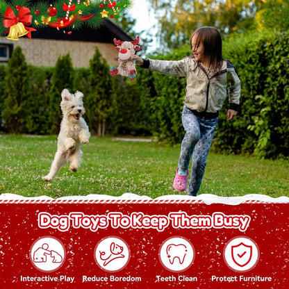 Reindeer Squeaky Christmas Dog Toy with Crinkle, Plush Chew Toy for All Dogs