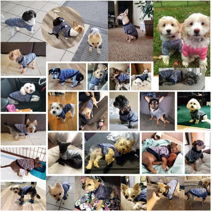 Classic Knit Dog Sweater – Warm Winter Soft Sweater for Small Dogs & Cats XXS–XL