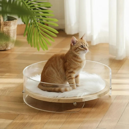 Clear Acrylic Cat Bed with Wooden Base | Modern Living Suite Pet Furniture Default Title