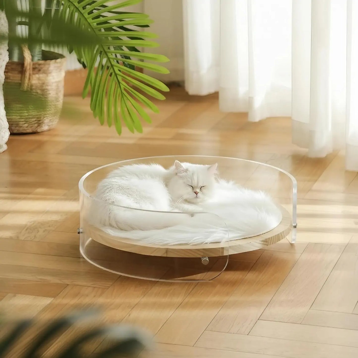 Clear Acrylic Cat Bed with Wooden Base | Modern Living Suite Pet Furniture