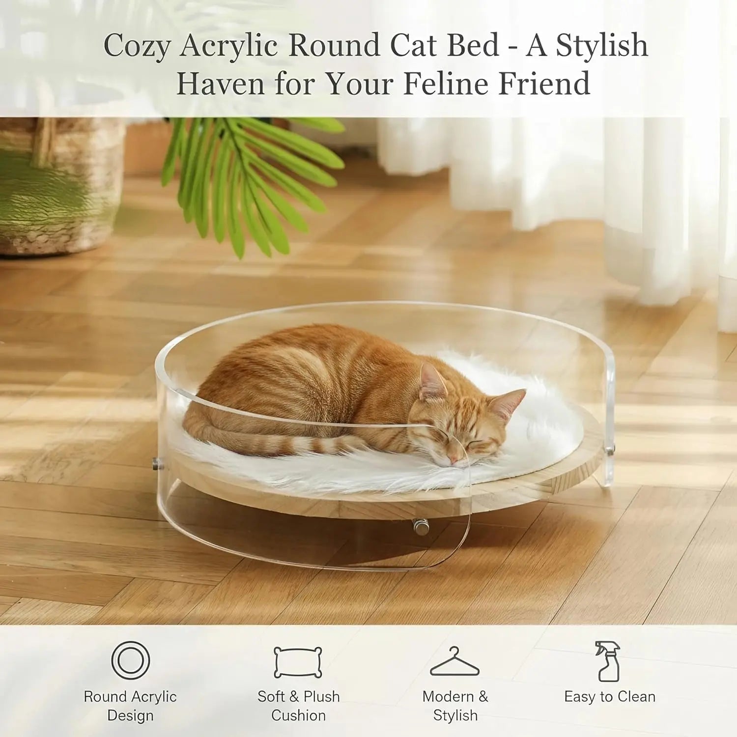 Clear Acrylic Cat Bed with Wooden Base | Modern Living Suite Pet Furniture