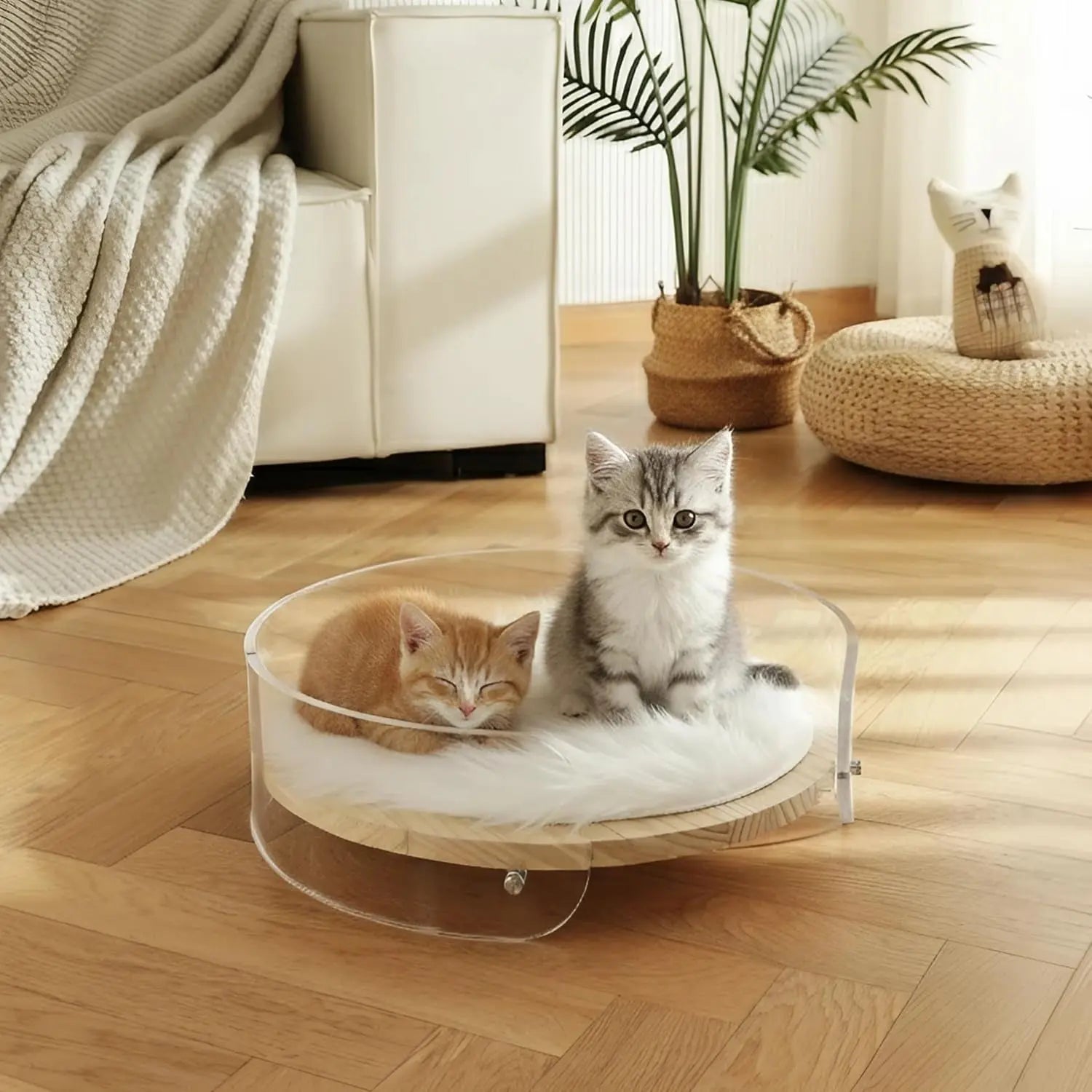 Clear Acrylic Cat Bed with Wooden Base | Modern Living Suite Pet Furniture