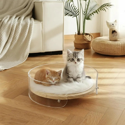 Clear Acrylic Cat Bed with Wooden Base | Modern Living Suite Pet Furniture