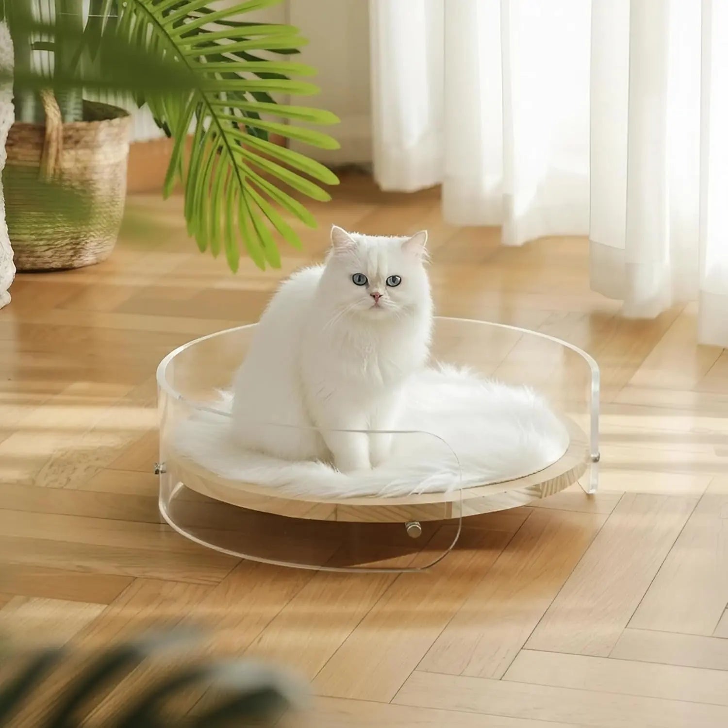 Clear Acrylic Cat Bed with Wooden Base | Modern Living Suite Pet Furniture