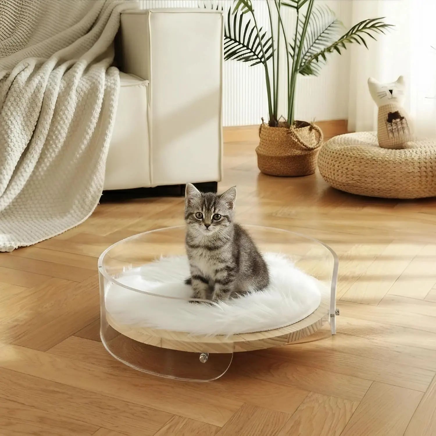 Clear Acrylic Cat Bed with Wooden Base | Modern Living Suite Pet Furniture