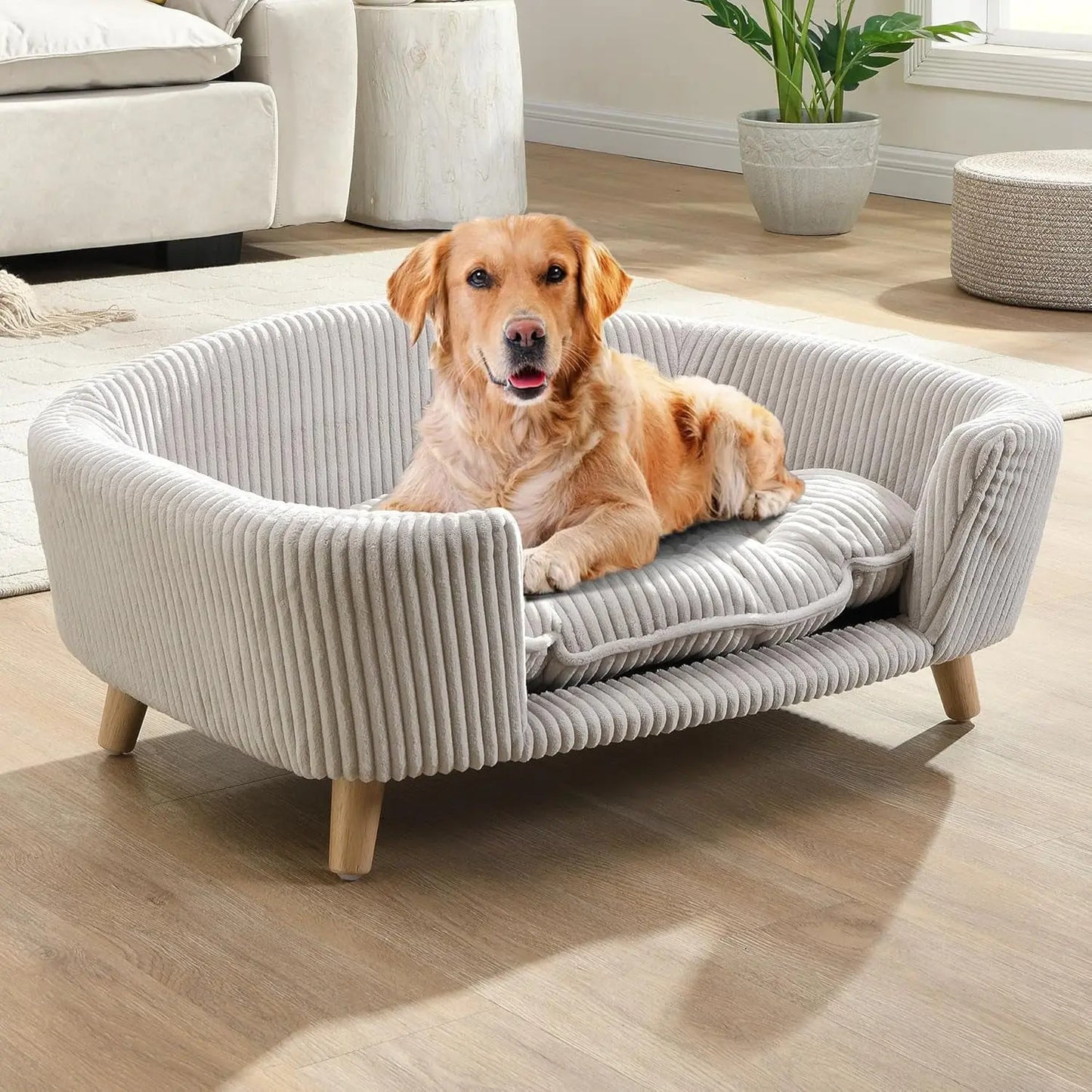 Corduroy Elevated Dog Sofa Bed with Wood Legs | Modern Living Suite Beige