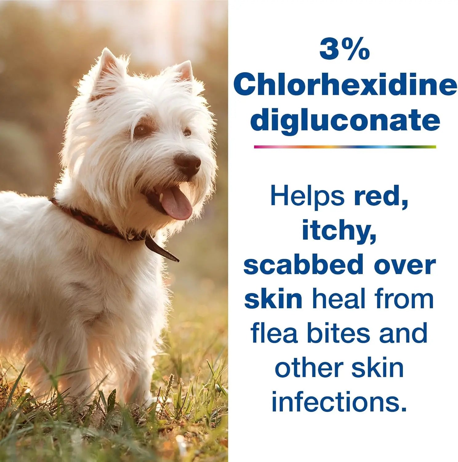 DOUXO S3 PYO Combo Set – Antibacterial Dog Shampoo & Mousse, 2-Pack