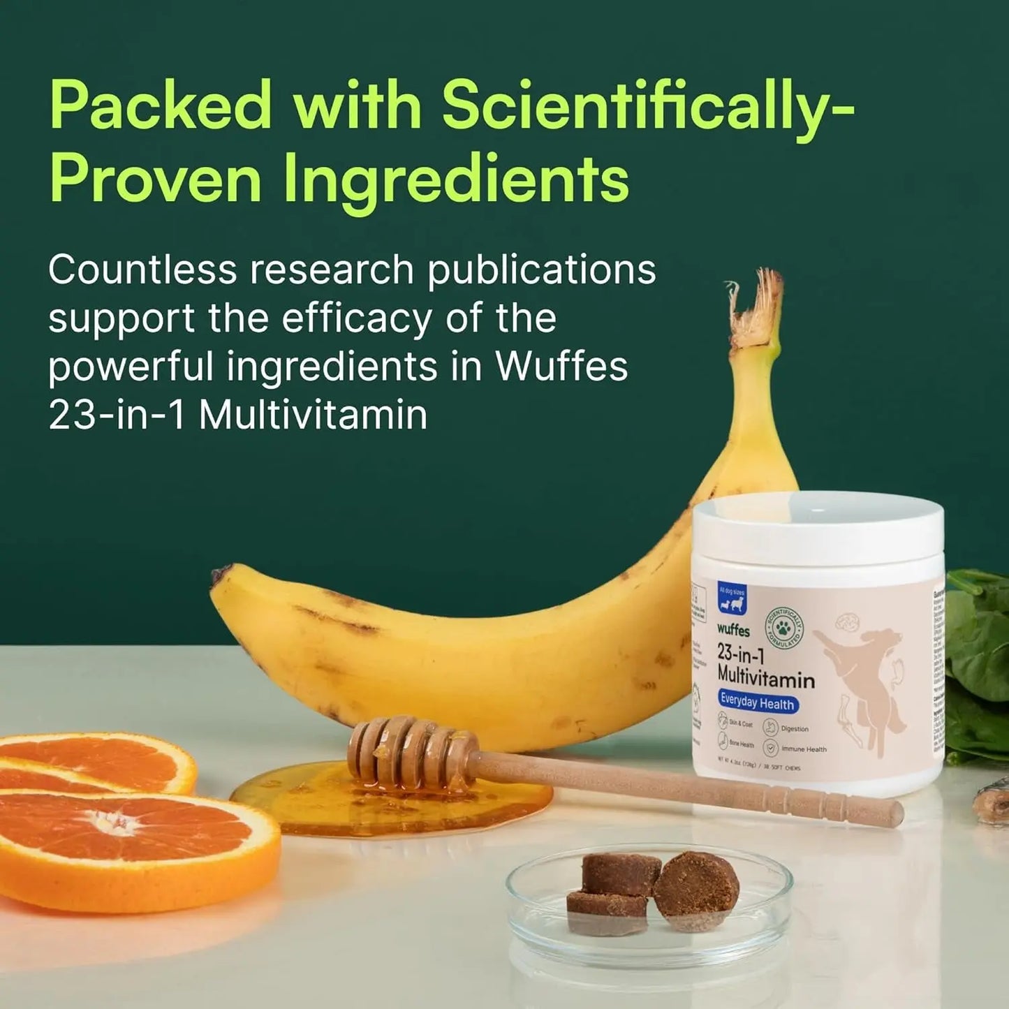 Daily Dog Multivitamin Soft Chews Joint Skin Immune Omega 3 Supplement 30Ct