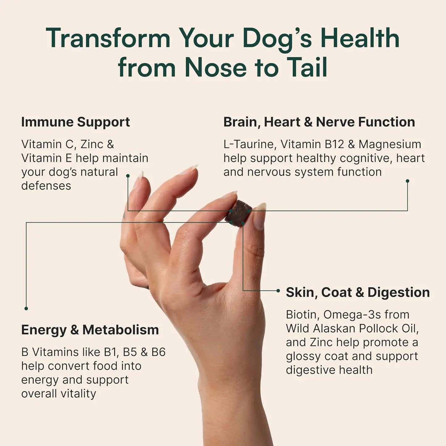 Daily Dog Multivitamin Soft Chews Joint Skin Immune Omega 3 Supplement 30Ct