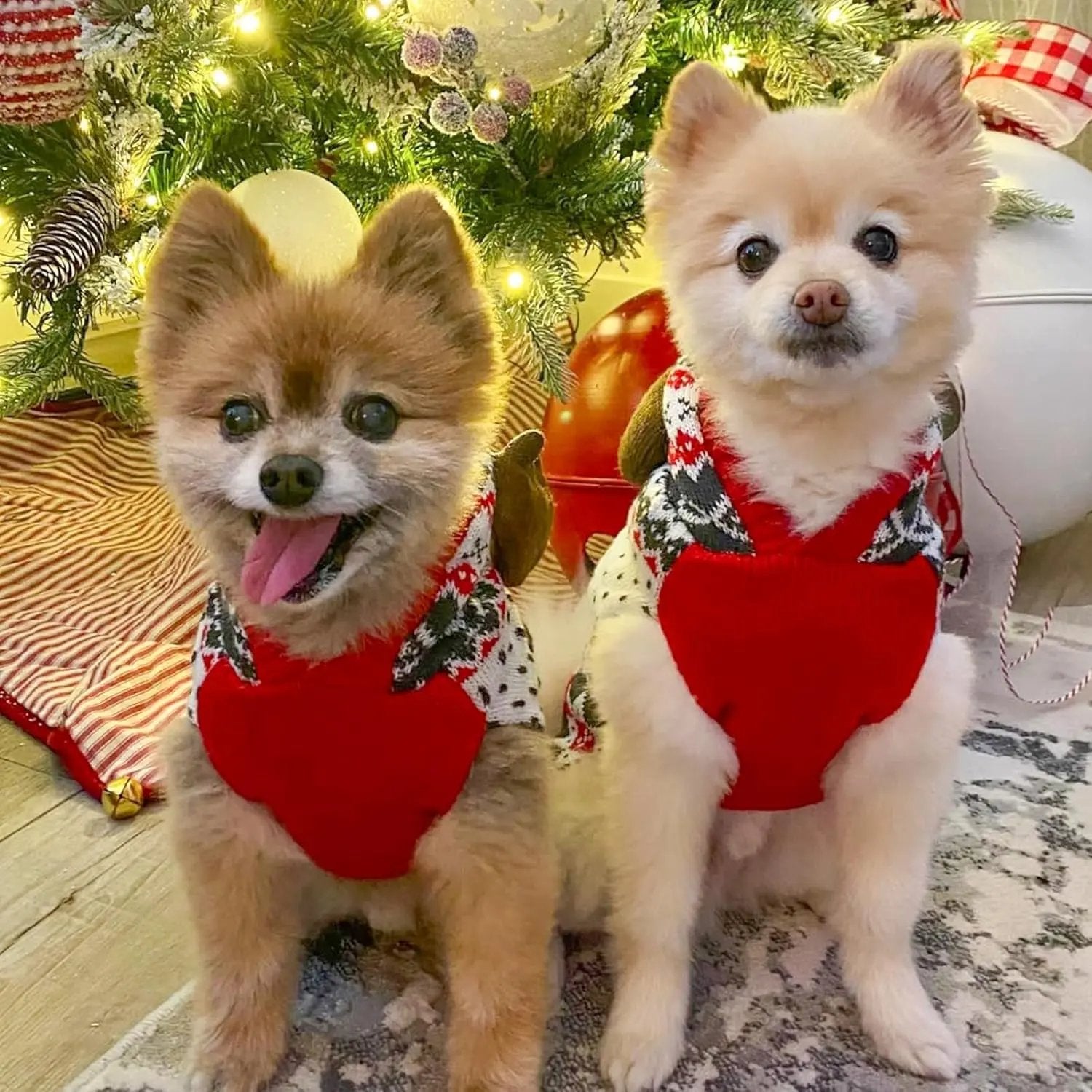 Dog Christmas Sweater w/ Antler Hood, Warm Knit, Leash Hole, XS–2XL