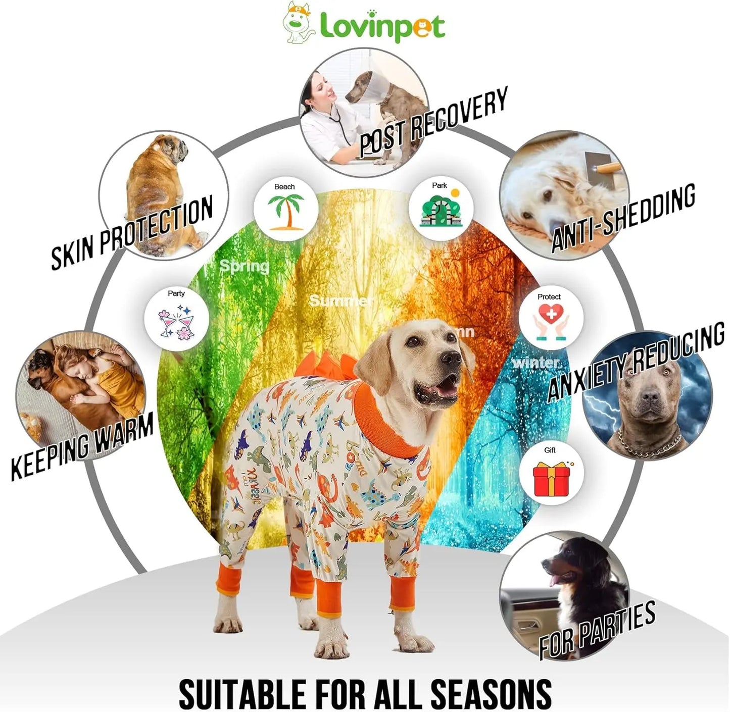 Dog Pajamas For Large Dogs – Anti-Lick Recovery Wear Jurassic Knit UV Suit