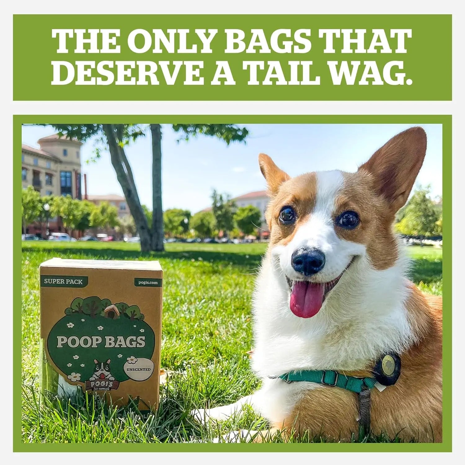 Dog Poop Bags with Handles 300ct – Extra Thick, Leak-Proof, Fresh Scent