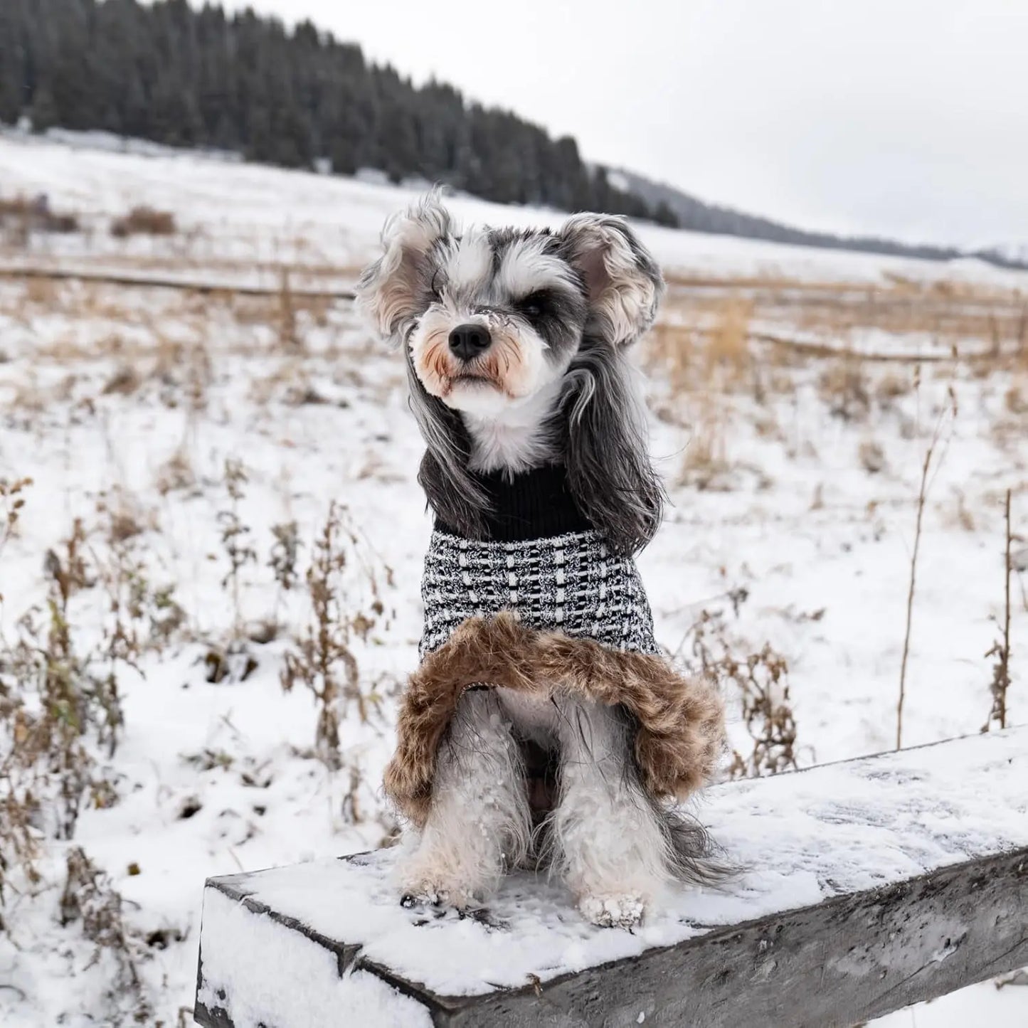 Dog Sweater Cloak Turtleneck Knit Coat XS-XL Small Dogs Winter Warm