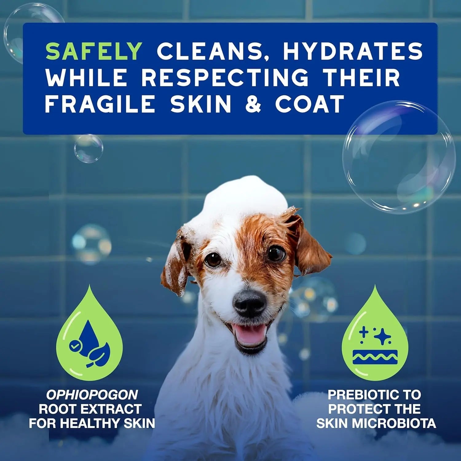 Douxo Skin & Coat SPA Puppy Shampoo 16oz – Ultra-Safe Hydrating Cleanser