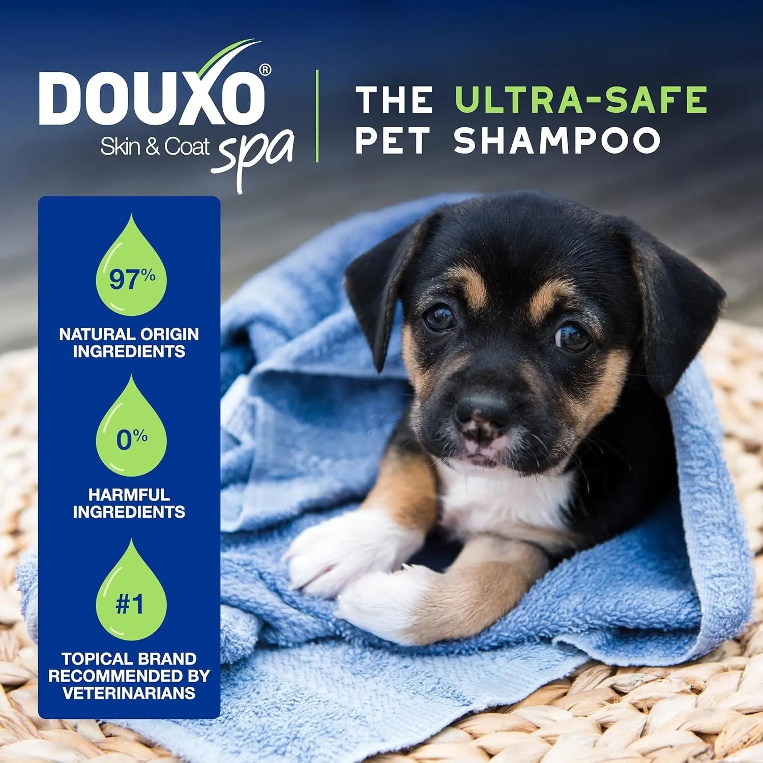 Douxo Skin & Coat SPA Puppy Shampoo 16oz – Ultra-Safe Hydrating Cleanser