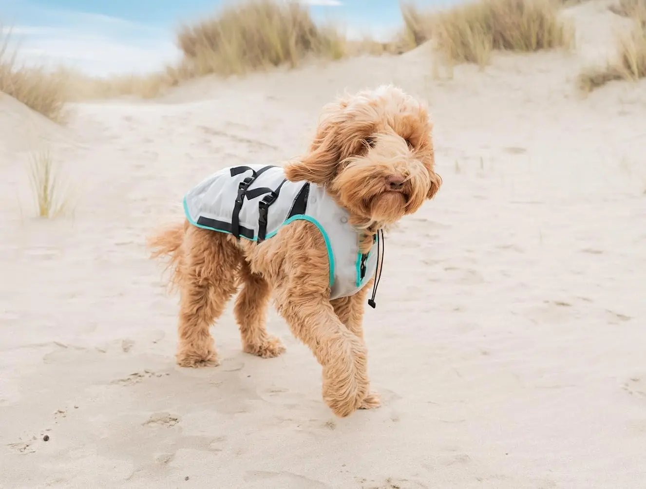 Dry-Activate Dog Cooling Vest, Machine Washable – Assorted Colors