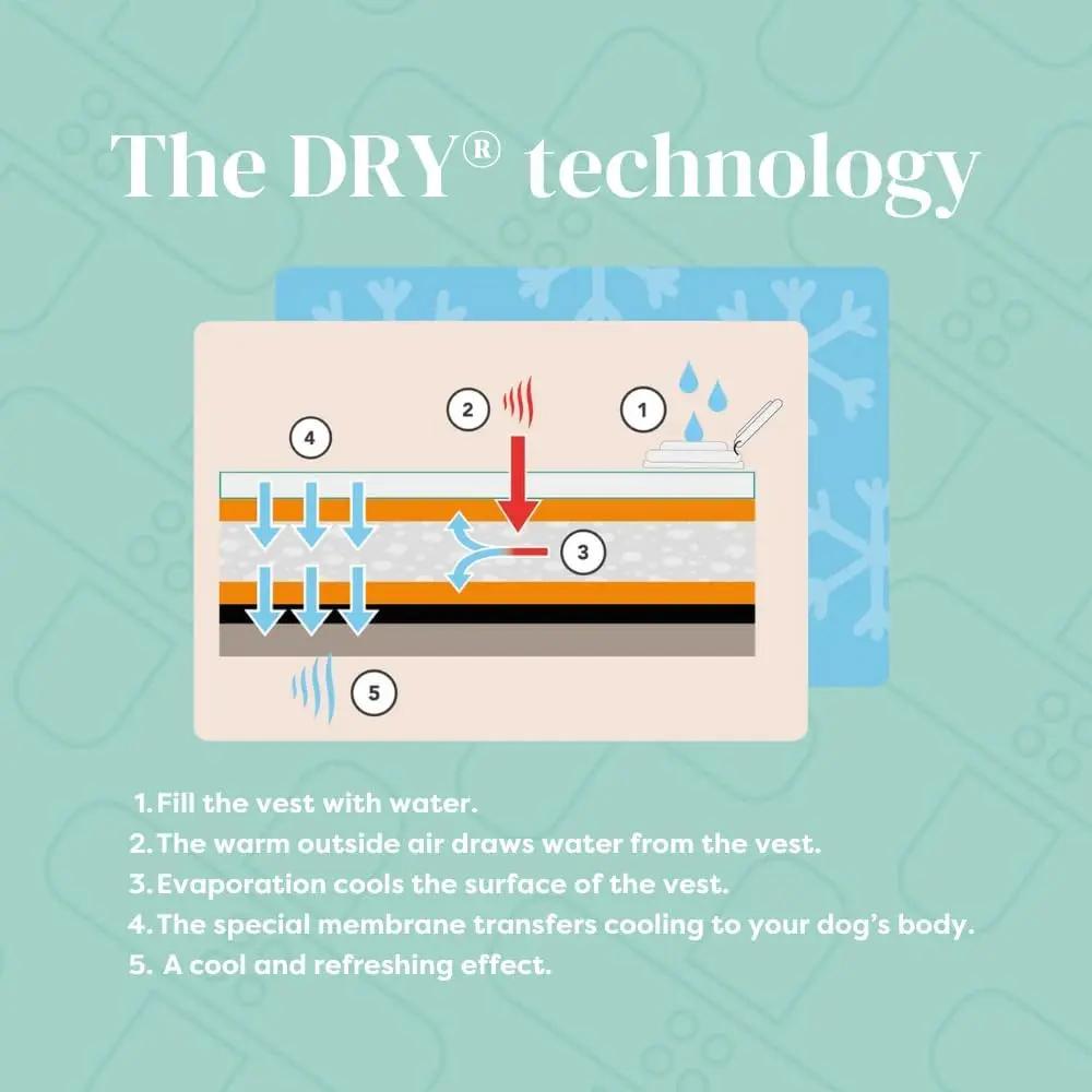 Dry-Activate Dog Cooling Vest, Machine Washable – Assorted Colors