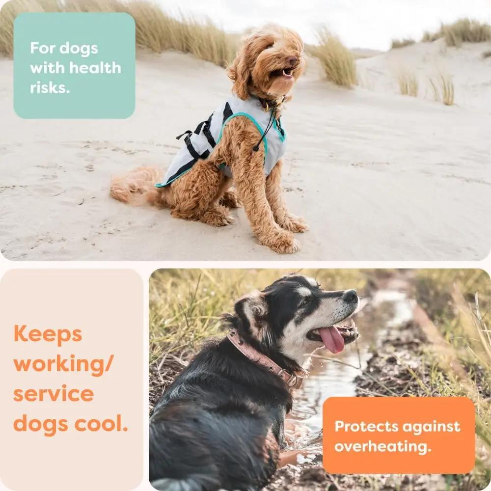 Dry-Activate Dog Cooling Vest, Machine Washable – Assorted Colors