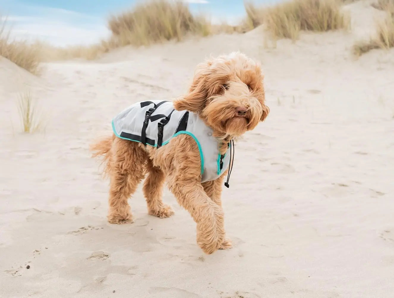 Dry-Activate Dog Cooling Vest, Machine Washable – Assorted Colors