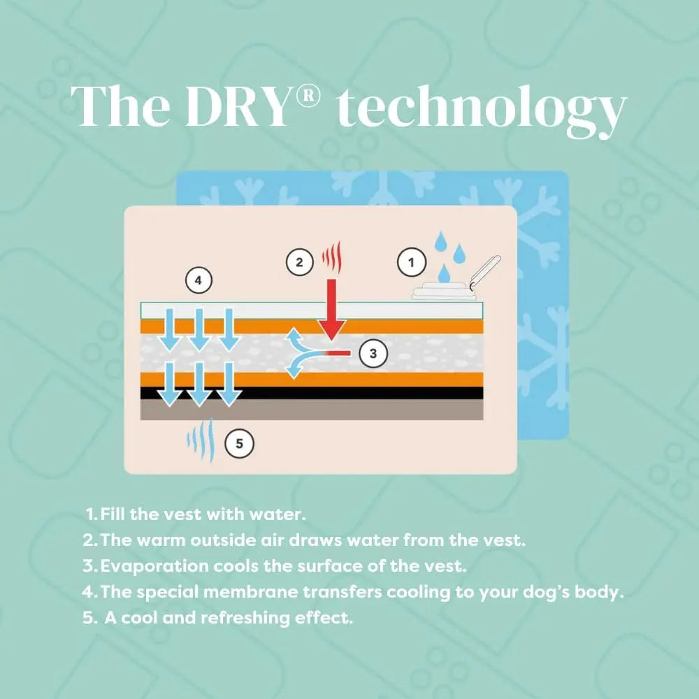 Dry-Activate Dog Cooling Vest, Machine Washable – Assorted Colors