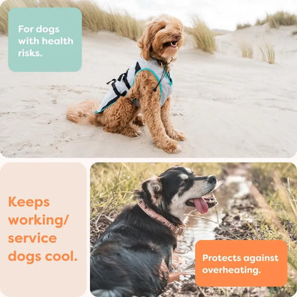 Dry-Activate Dog Cooling Vest, Machine Washable – Assorted Colors