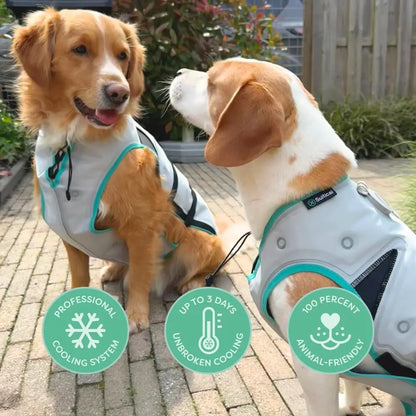 Dry-Activate Dog Cooling Vest, Machine Washable – Assorted Colors