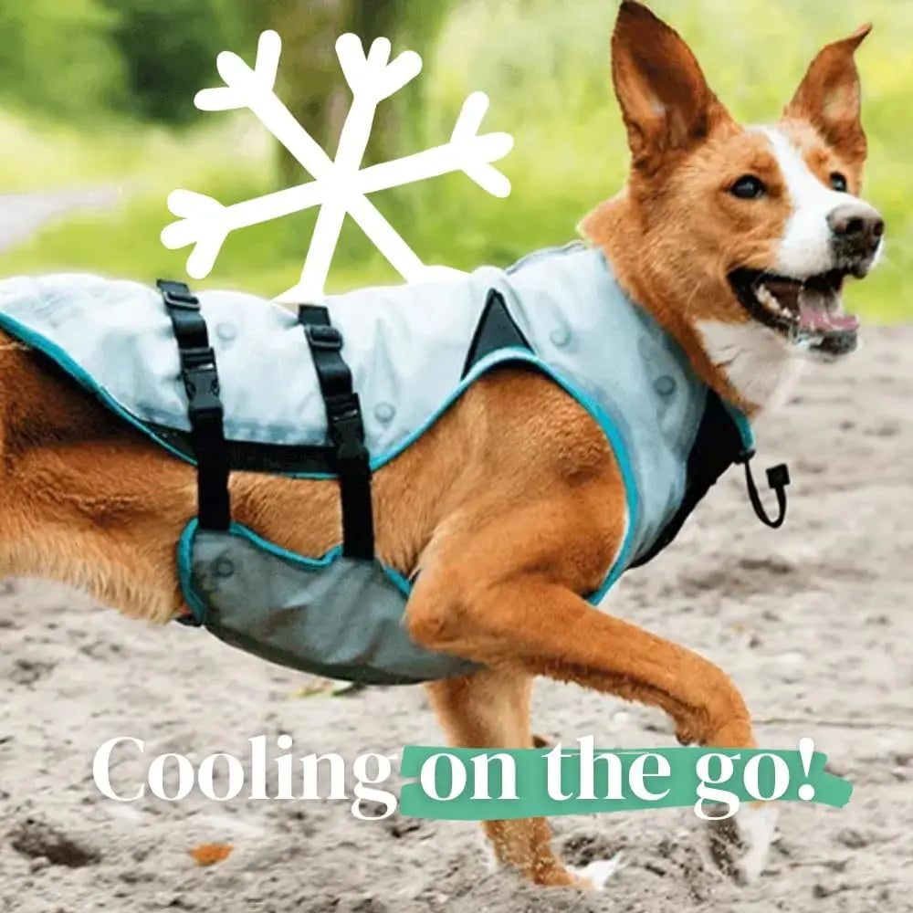 Dry-Activate Dog Cooling Vest, Machine Washable – Assorted Colors