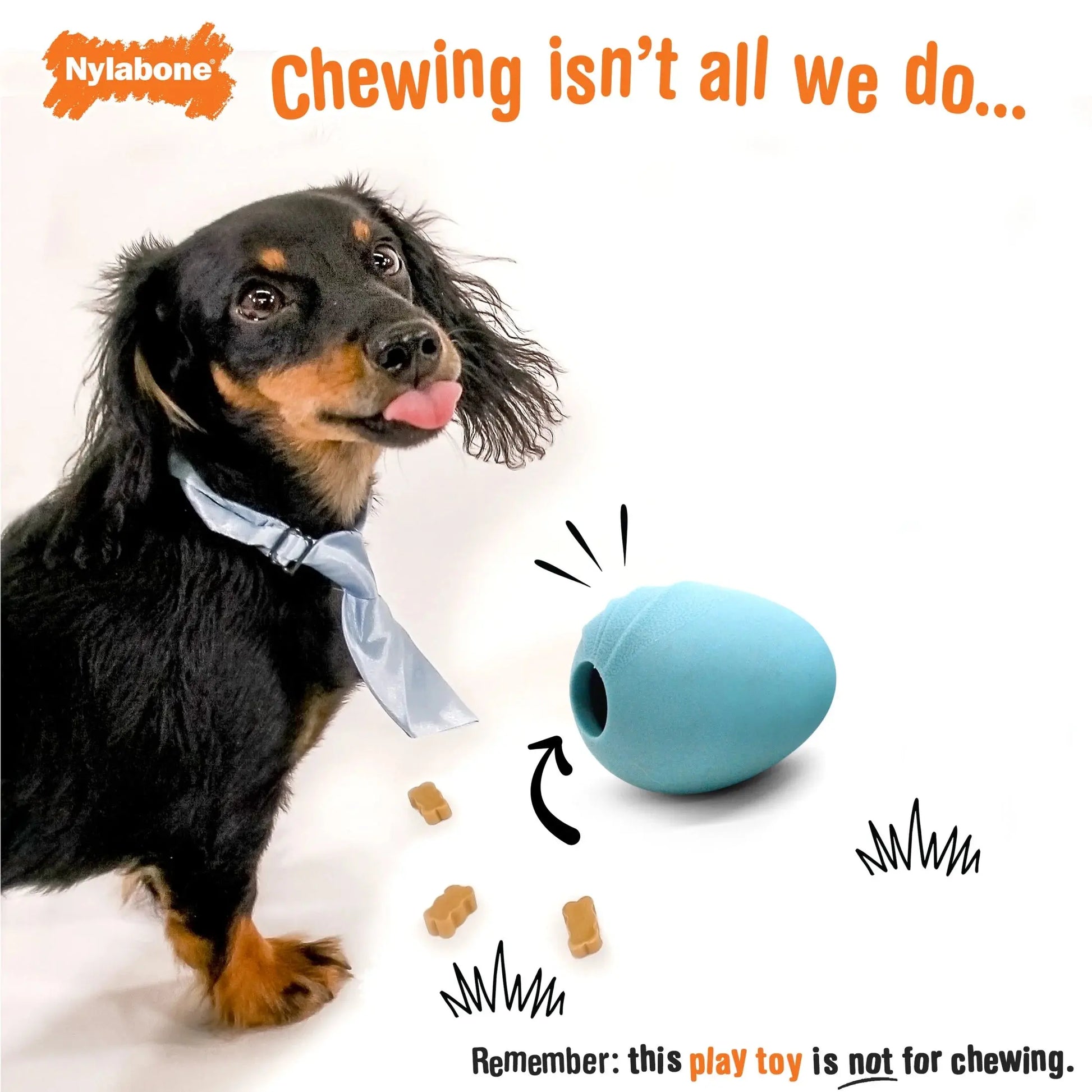 Eggi Interactive Dog Toy – Lightweight Bouncy Treat Ball, Creative Play Training Toy