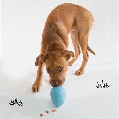 Eggi Interactive Dog Toy – Lightweight Bouncy Treat Ball, Creative Play Training Toy