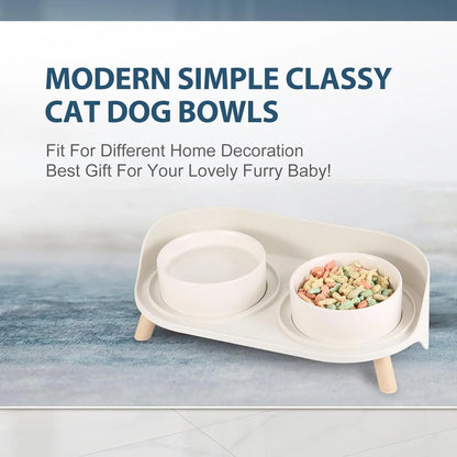 Elevated Ceramic Cat & Dog Bowl Set with Splash Guard, Non-Slip Stand (2x480ml)