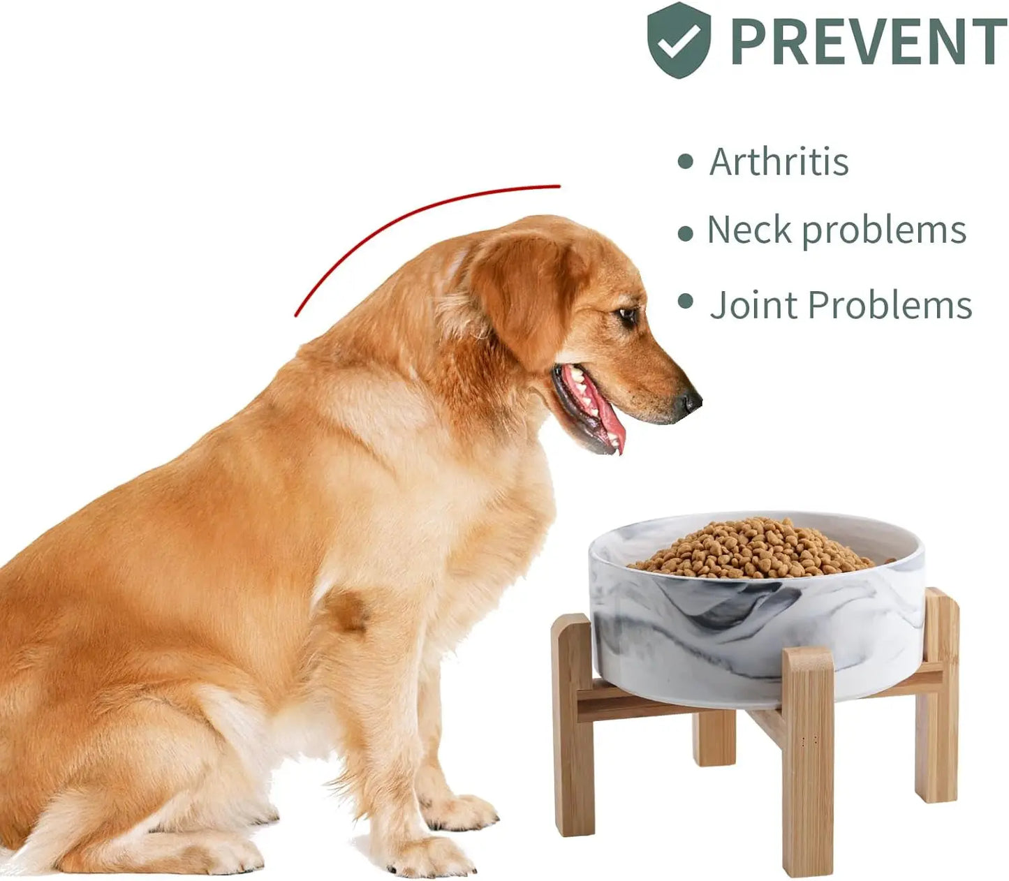 Elevated Ceramic Dog Bowl with Wood Stand | Modern Porcelain (6” & 8”)