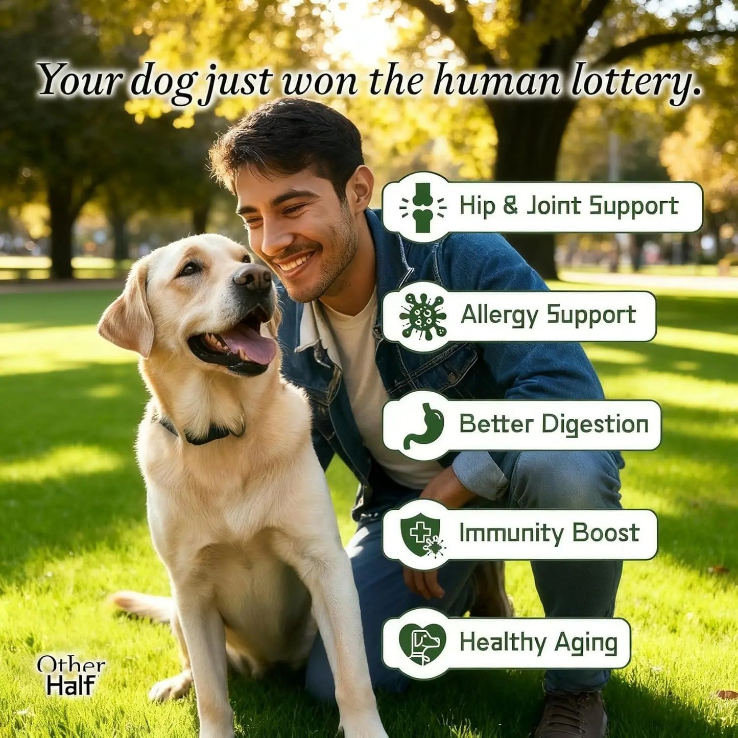 Everyday Dog Supplement – 7-in-1 Daily Support for Joints, Gut, Skin & Immunity