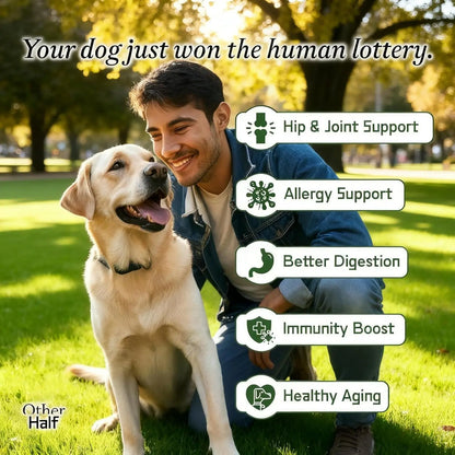 Everyday Dog Supplement – 7-in-1 Daily Support for Joints, Gut, Skin & Immunity