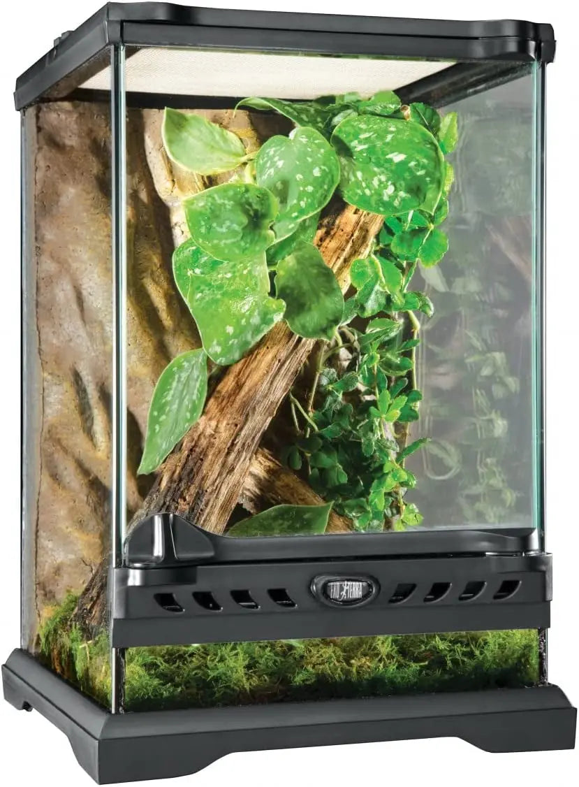 Exo Terra Nano Tall Glass Terrarium Kit for Reptiles & Amphibians 8x8x12 8 X 8 X 12 Inches