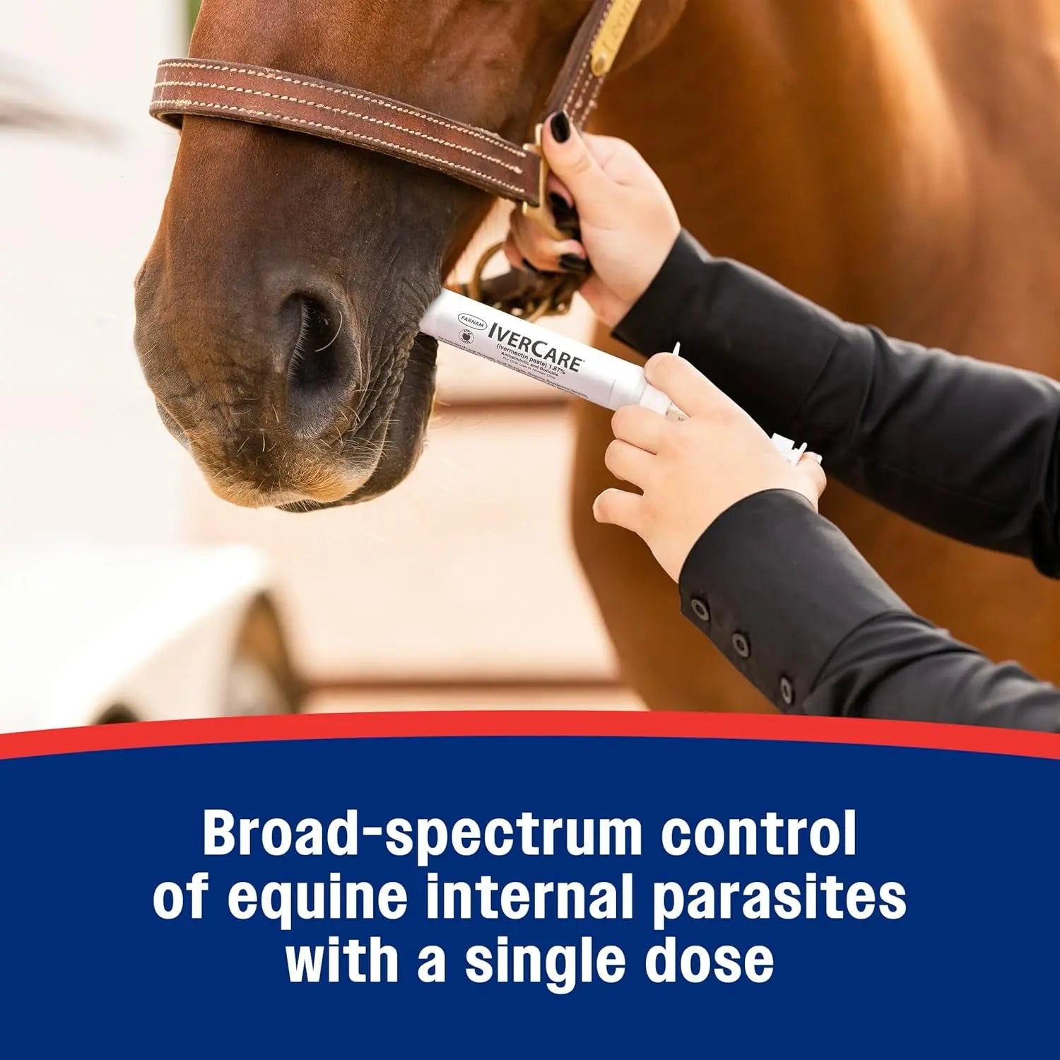 Farnam IverCare Ivermectin Paste 1.87% Horse Dewormer Apple Flavor