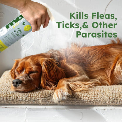 Flea & Tick Concentrate Starter Pack (3.7oz, 2-Pack) – Natural Essential Oil Formula for Dogs & Pets, Controls Fleas, Ticks & Mites