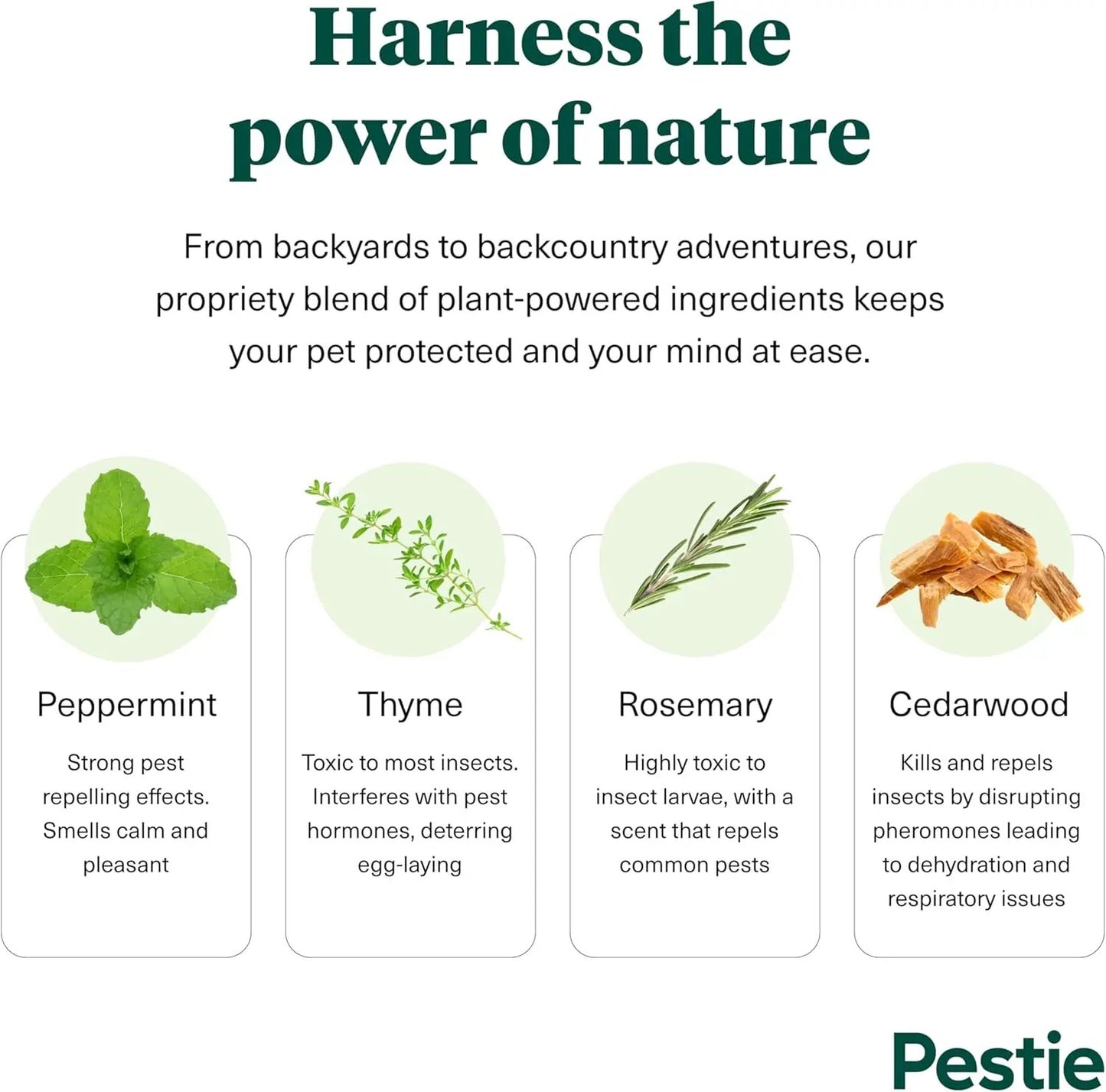 Plant-Powered Flea & Tick Spray – Natural Pest Repellent for Cats & Dogs, 8 oz