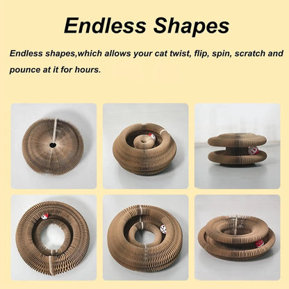 Magic Organ Cat Toy, Foldable Scratcher Board with Ball, Recyclable Accordion Cat Toy (2 Pack)