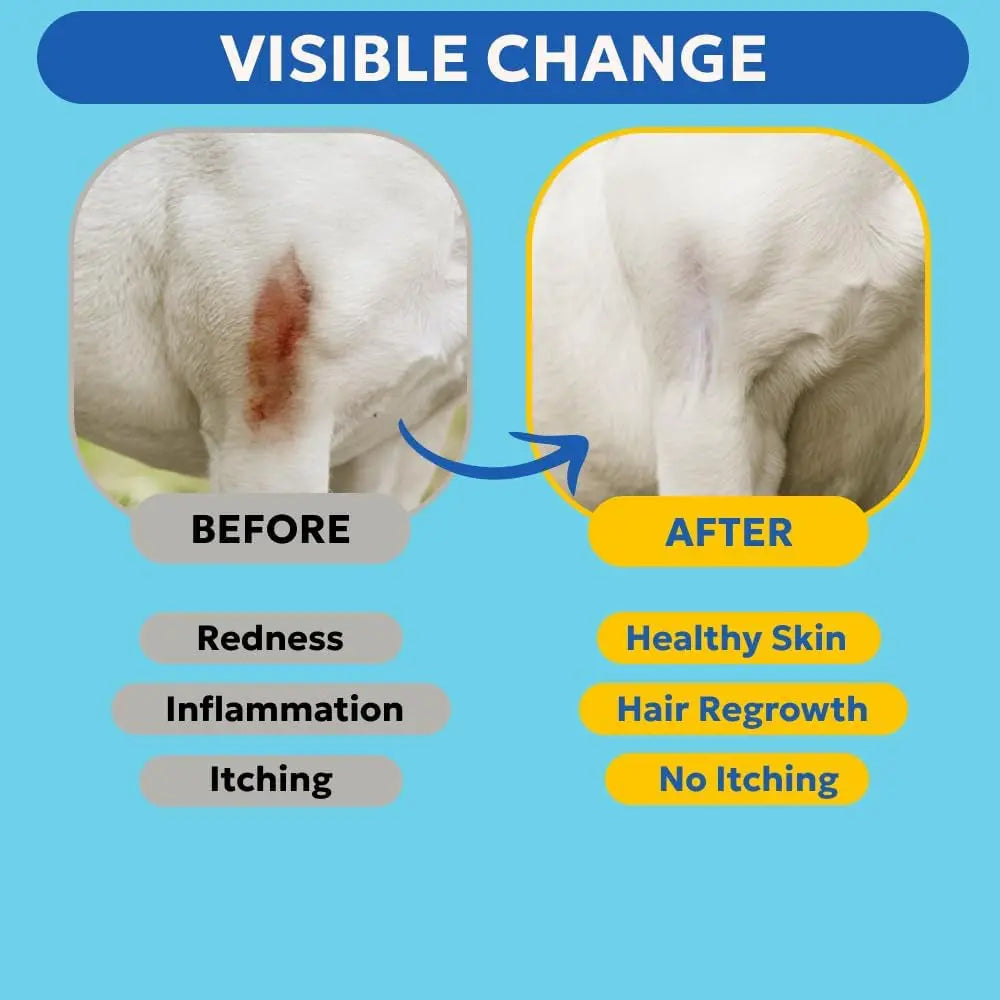 Forticept Blue Butter Hot Spot Gel for Dogs & Cats, Veterinary Skin Care 4 oz