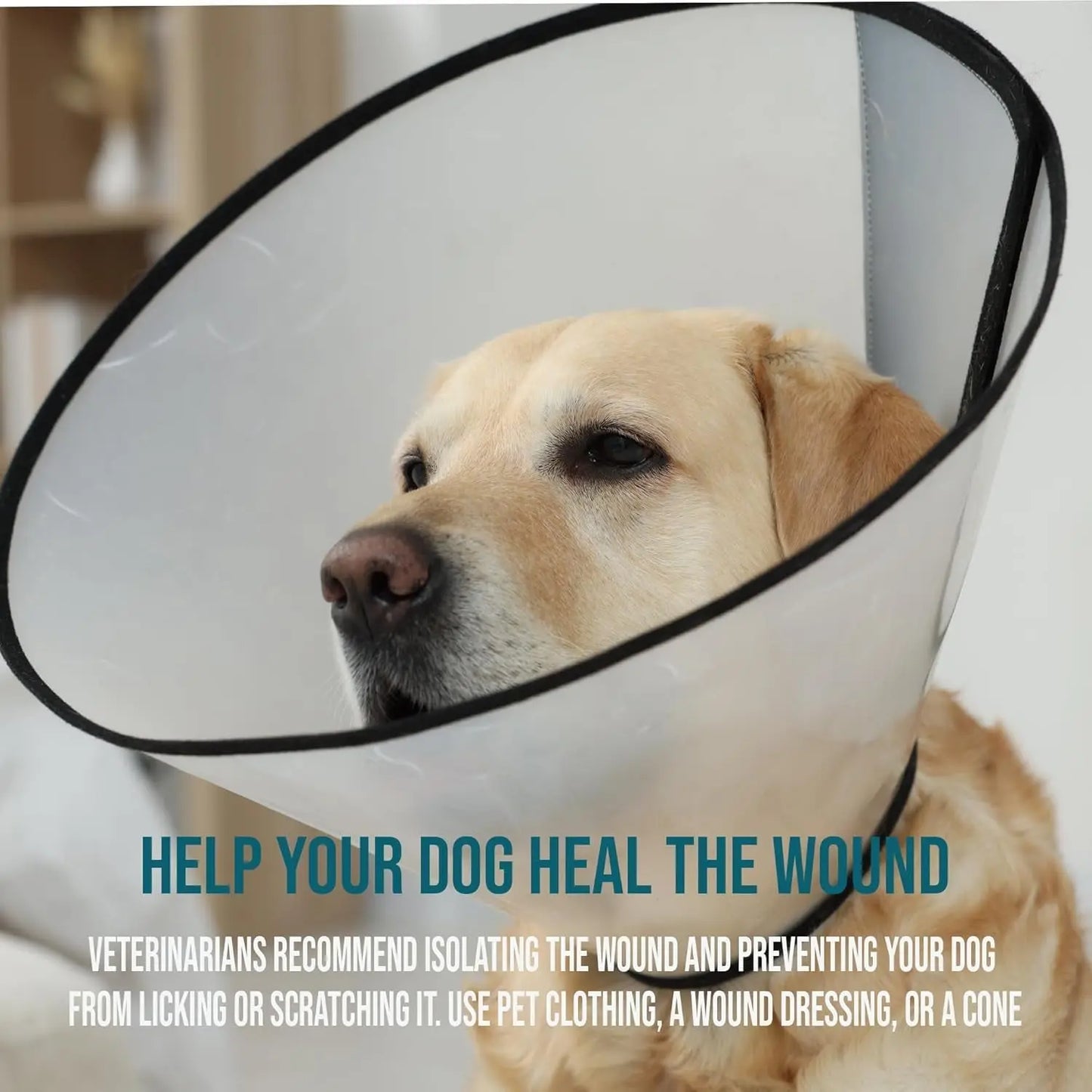 Forticept Blue Butter Hot Spot Gel for Dogs & Cats, Veterinary Skin Care 4 oz