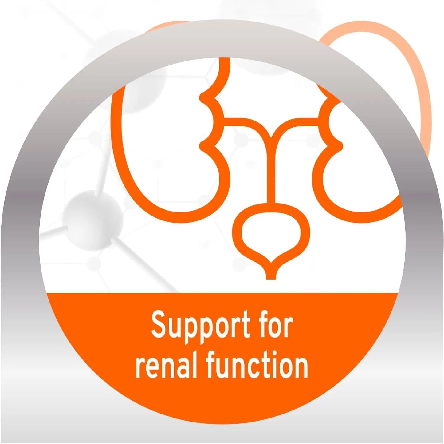 Forza10 Renal Wet Cat Food Lamb, Vet-Formulated Kidney Care, 3.5oz x12