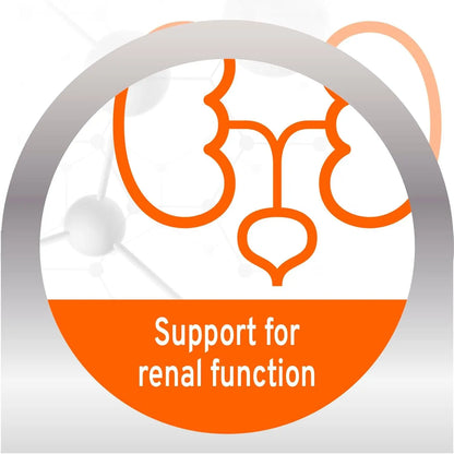 Forza10 Renal Wet Cat Food Lamb, Vet-Formulated Kidney Care, 3.5oz x12