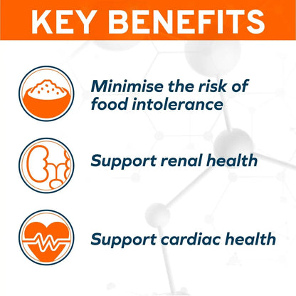 Forza10 Renal Wet Cat Food Lamb, Vet-Formulated Kidney Care, 3.5oz x12