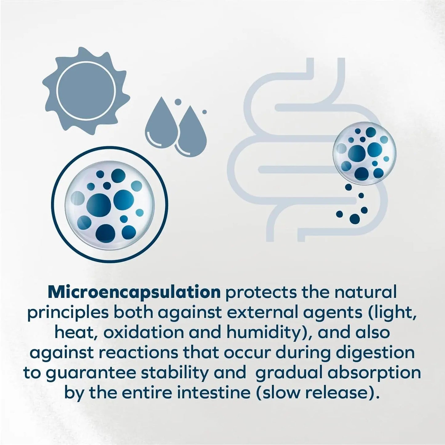 Forza10 Renal Wet Cat Food Lamb, Vet-Formulated Kidney Care, 3.5oz x12