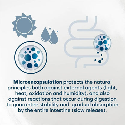 Forza10 Renal Wet Cat Food Lamb, Vet-Formulated Kidney Care, 3.5oz x12