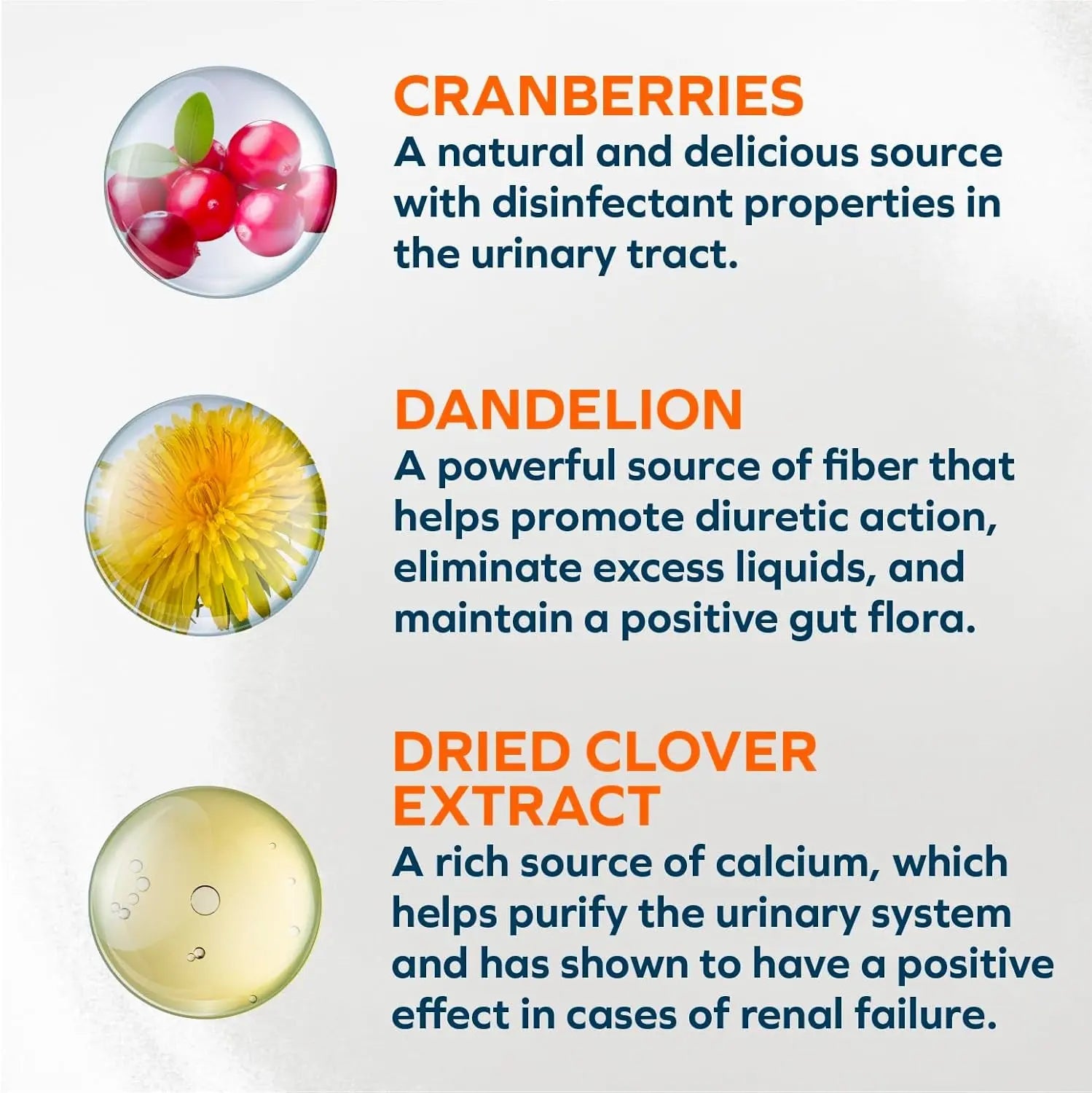 Forza10 Renal Wet Cat Food Lamb, Vet-Formulated Kidney Care, 3.5oz x12